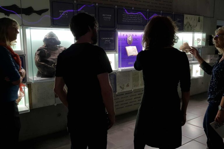 Art, Science and Society | Nuuk - Image 8