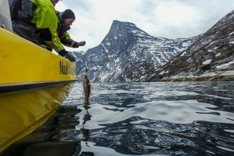 Det bedste ved Nuuk på 4 dage | Vest Grønland - Billede 11