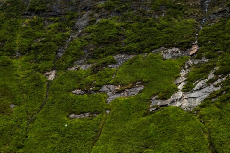 Det bedste ved Nuuk på 5 dage | Vest Grønland - Billede 5