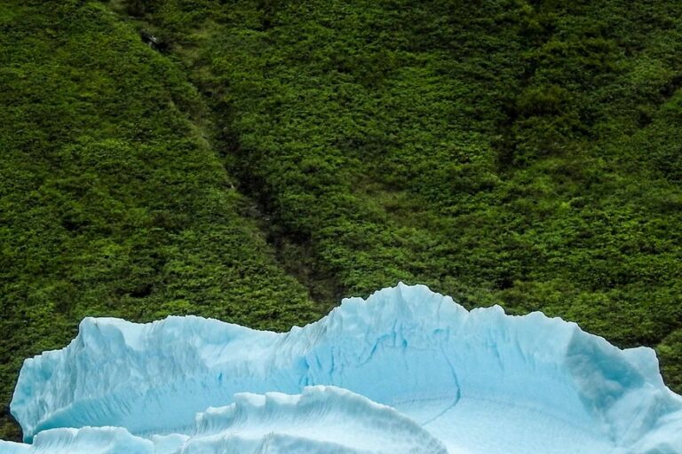 Det bedste ved Nuuk på 5 dage | Vest Grønland - Billede 6