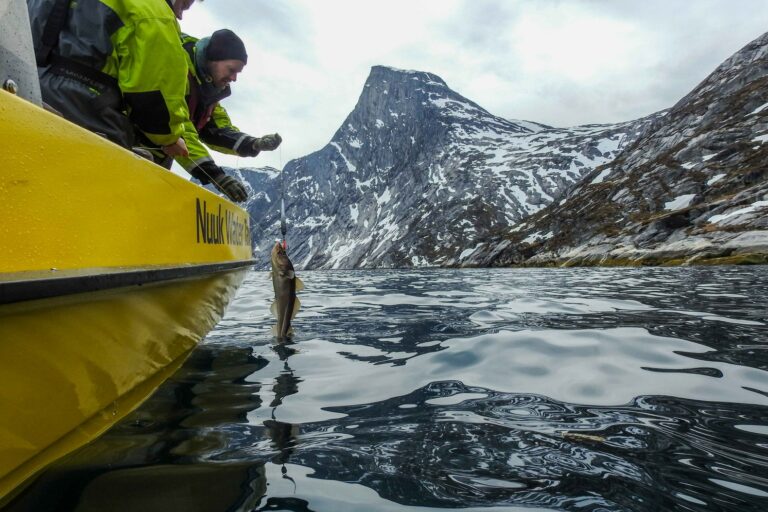 Det bedste ved Nuuk på 5 dage | Vest Grønland - Billede 7