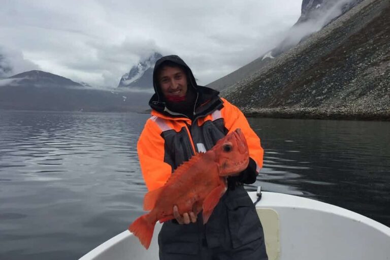 Båd Charter P550 | Nuuk - Billede 5