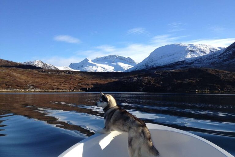 Boat Charter on P600 | Nuuk - Image 6