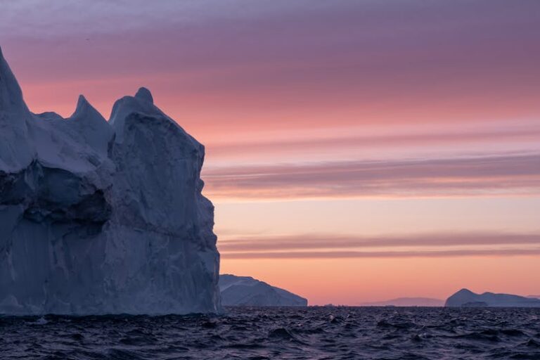 Boat tour among icebergs | Tasiilaq | East Greenland - Image 7