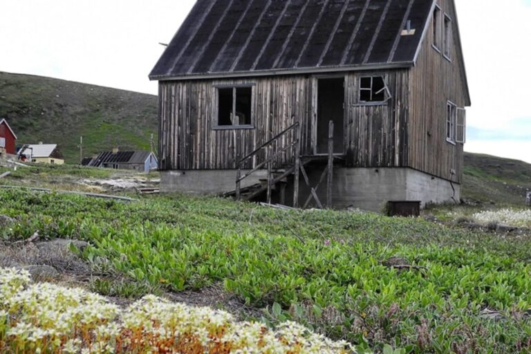 Captains Favorite Strait Cruise Sullorsuaq | Private tour | Ilulissat | Disko Bay - Image 2