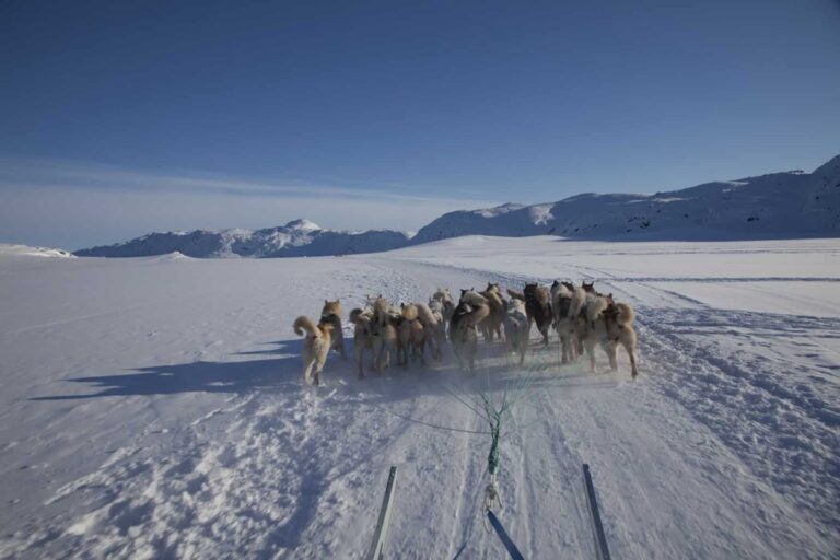 Ilulissat's Vintervidundere | Diskobugten - Billede 13