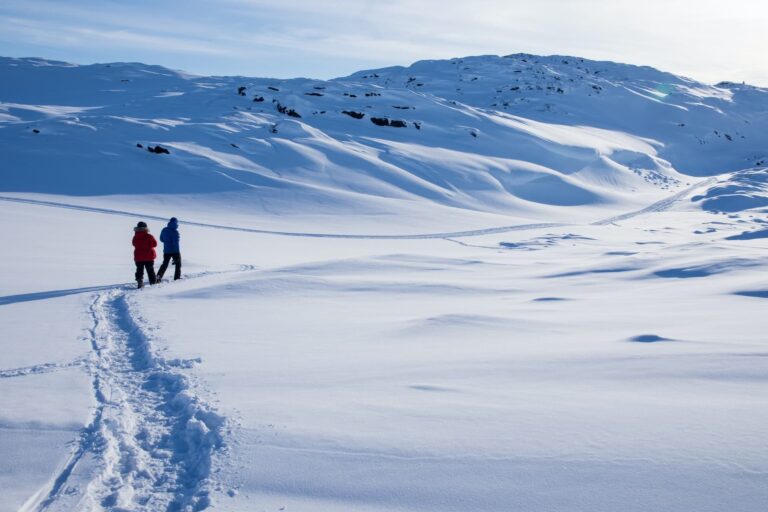 Ilulissat's Vintervidundere | Diskobugten - Billede 5