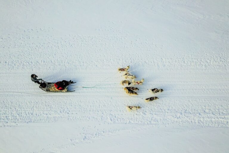 Ilulissat's Vintervidundere | Diskobugten - Billede 10