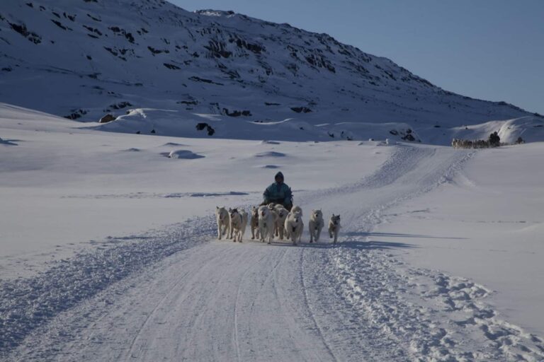 Ilulissat's Vintervidundere | Diskobugten - Billede 12