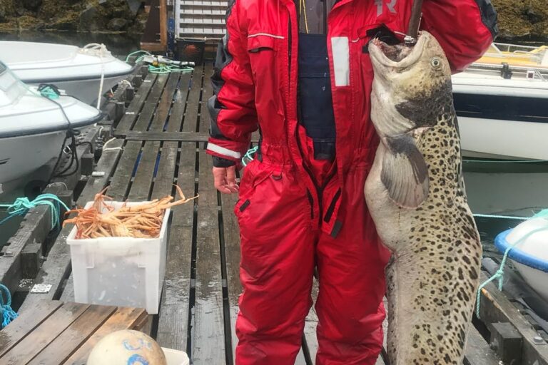 Private Halibut & Antlantic Wolffish Fishing | Sisimiut - Image 2