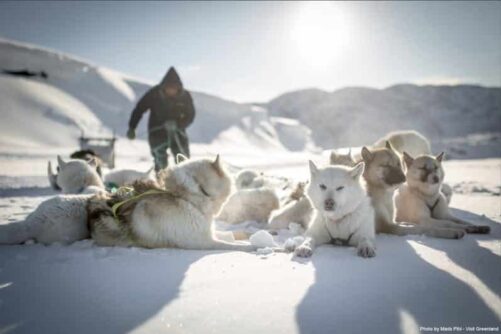 travel guide books greenland