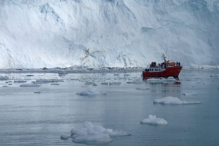 Dagstur til Eqi Gletsjer | Ilulissat | Diskobugten - Billede 4