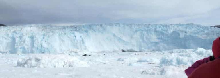 Dagstur til Eqi Gletsjer | Ilulissat | Diskobugten - Billede 5