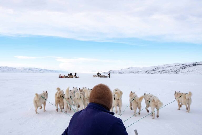 dogsledding from kangerlussuaq to sisimiut in west greenland