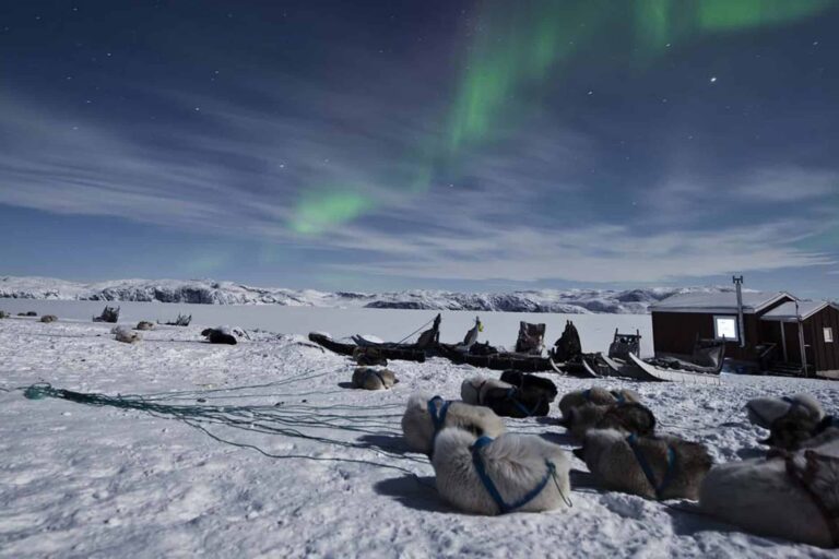 Qaqortoq Your Ultimate Travel Guide Guide To Greenland