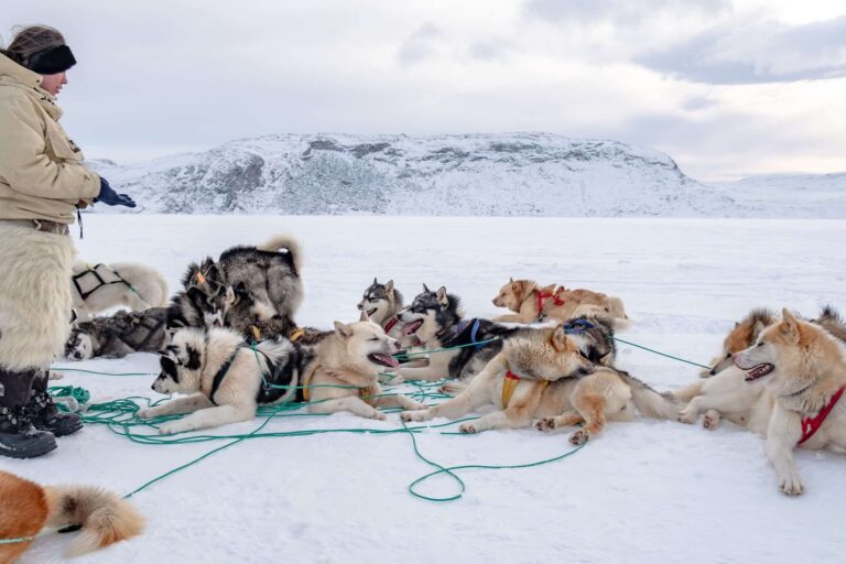 Dog sledding expedition | Kangerlussuaq to Sisimiut | West Greenland - Image 4