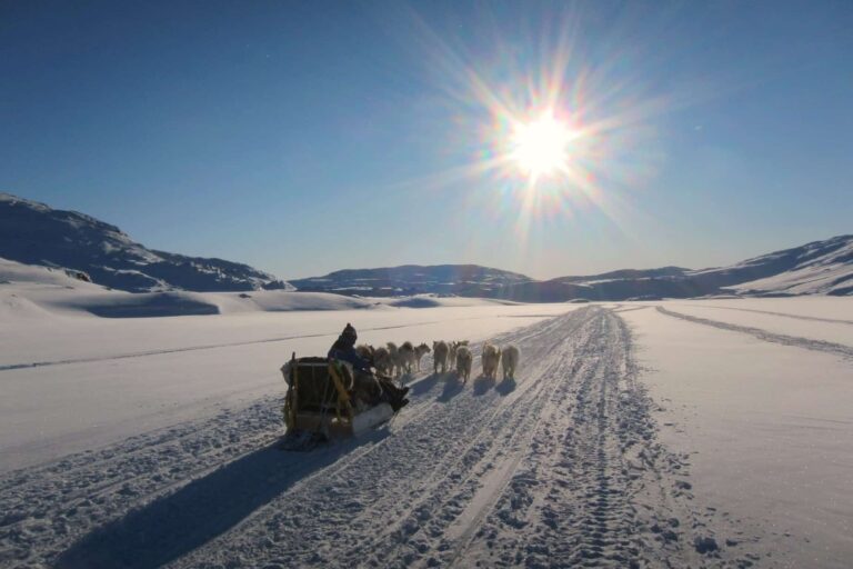 Dog sledding expedition | Kangerlussuaq to Sisimiut | West Greenland - Image 6