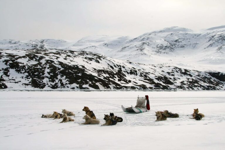 Dog sledding expedition | Kangerlussuaq to Sisimiut | West Greenland - Image 9