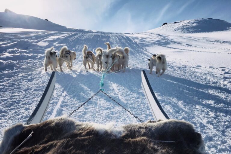 Hundeschlittentour zur UFO-Hütte | Sisimiut - Image 2