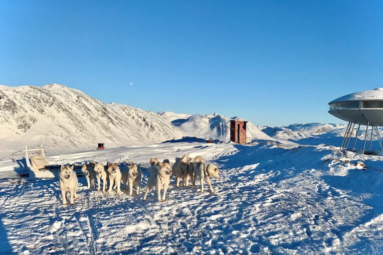 Hundeschlittentour zur UFO-Hütte | Sisimiut - Image 3