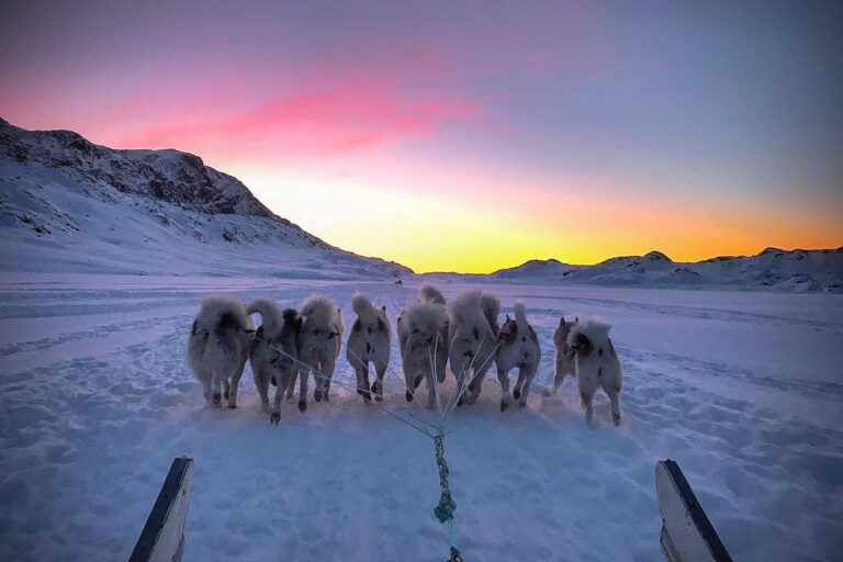 Hundeschlittentour zur UFO-Hütte | Sisimiut - Image 5