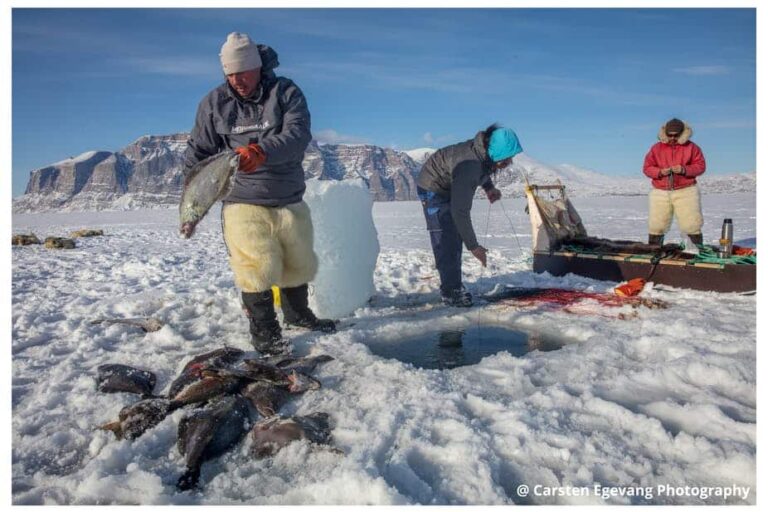 Traditional Inuit dogsled expedition | Uummannaq | North Greenland - Image 2