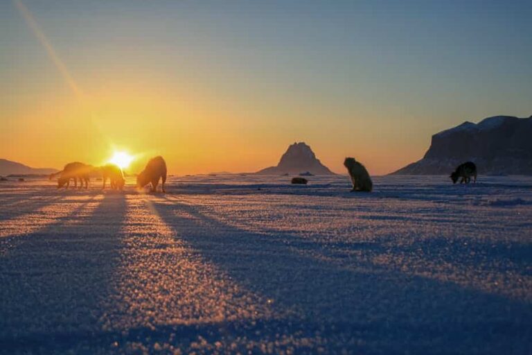 Traditional Inuit dogsled expedition | Uummannaq | North Greenland - Image 13