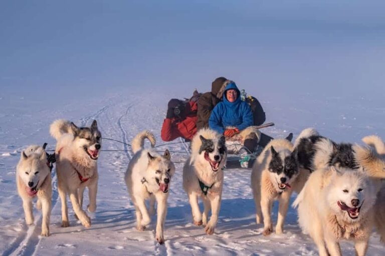 Traditional Inuit dogsled expedition | Uummannaq | North Greenland - Image 3