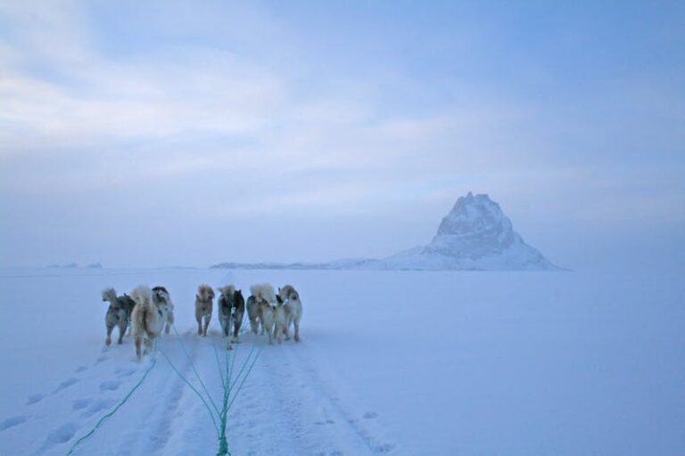 Traditional Inuit dogsled expedition | Uummannaq | North Greenland - Image 21