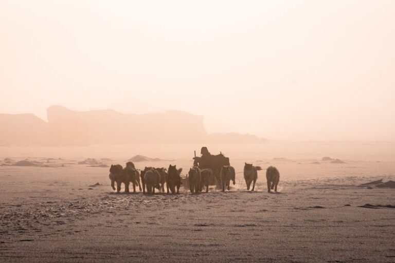 Traditional Inuit dogsled expedition | Uummannaq | North Greenland - Image 4