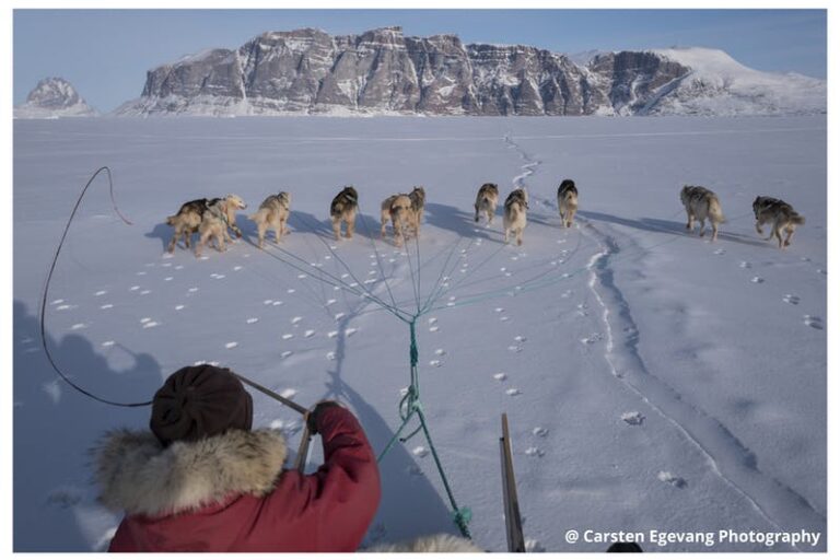 Dogsled expedition to settlements |5 days| Uummannaq | North Greenland - Image 2