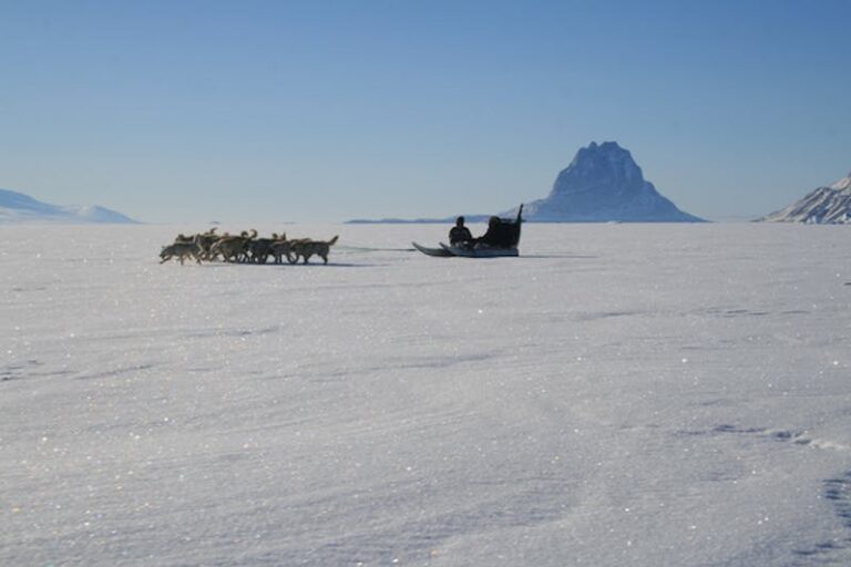 Dogsled expedition to settlements |5 days| Uummannaq | North Greenland - Image 18