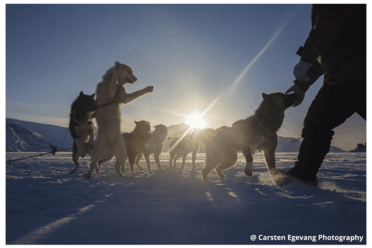 Dogsled expedition to settlements |5 days| Uummannaq | North Greenland - Image 4