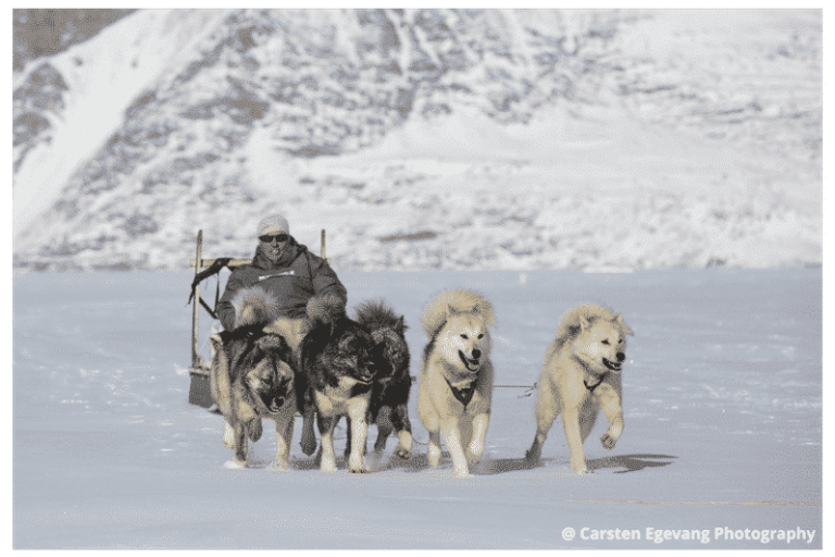 Dogsled expedition to settlements |5 days| Uummannaq | North Greenland - Image 6