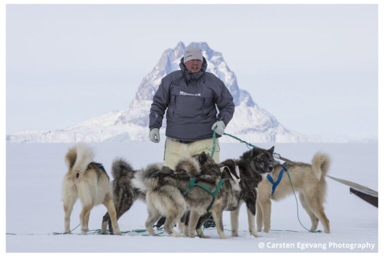 Dogsled expedition to settlements |5 days| Uummannaq | North Greenland - Image 7