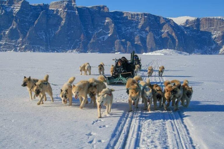 Dogsled expedition to settlements |5 days| Uummannaq | North Greenland - Image 8