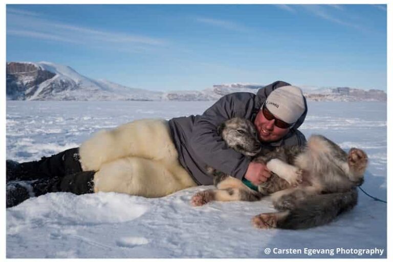 Dogsled expedition to settlements |5 days| Uummannaq | North Greenland - Image 9