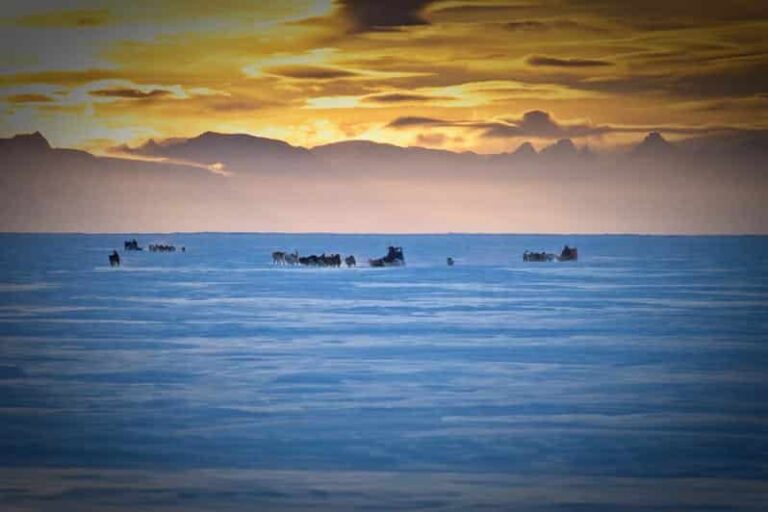 Dogsled Exploration of Liverpool Land | Ittoqqortoormiit | East Greenland - Image 3