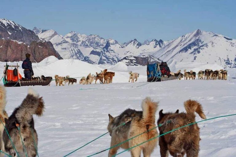 Dogsled Exploration of Liverpool Land | Ittoqqortoormiit | East Greenland - Image 6