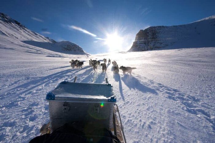 Dogsled Exploration of Liverpool Land | Ittoqqortoormiit | East Greenland