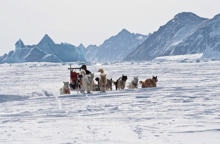 Dogsled Exploration of Liverpool Land | Ittoqqortoormiit | East Greenland - Image 4