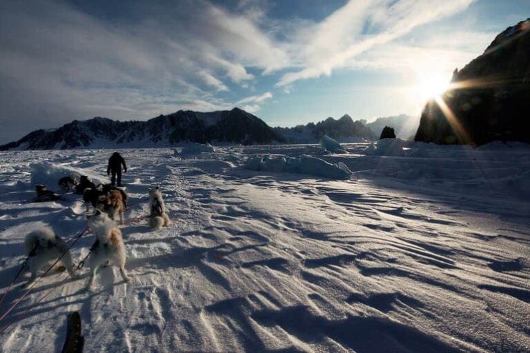 Dogsled Exploration of Liverpool Land | Ittoqqortoormiit | East Greenland - Image 9