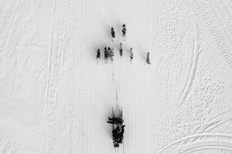 Dogsled tour | Ilulissat | Disko bay - Image 11