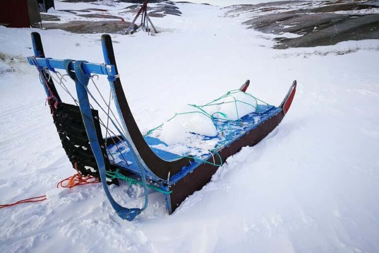 Dogsled tour | Ilulissat | Disko bay - Image 14
