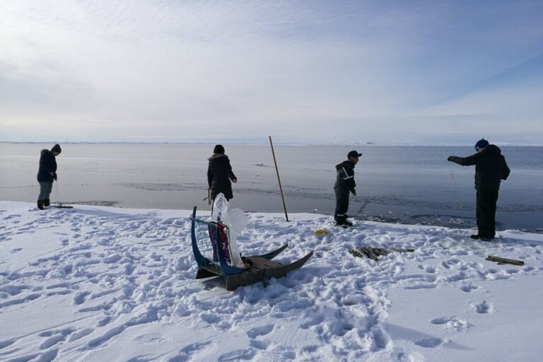 Dogsled tour | Ilulissat | Disko bay - Image 15