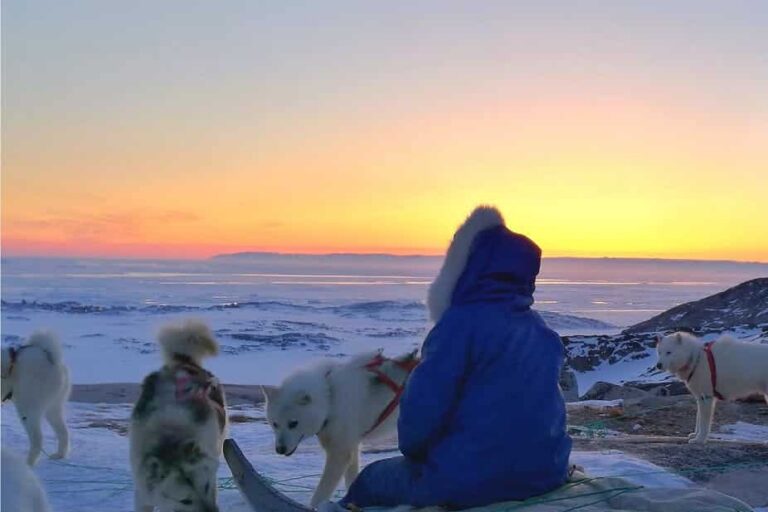 Dogsled tour | Ilulissat | Disko bay - Image 3
