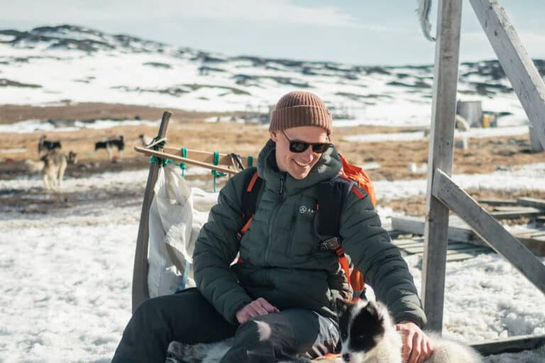Meet Sled Dogs | Ilulissat | Disko Bay - Image 2