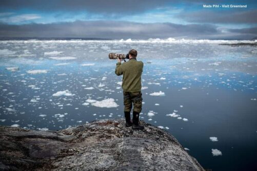 travel books on greenland