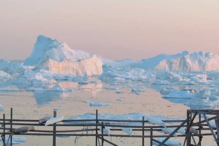 Abendliche Kajaktour zwischen Eisbergen | Ilulissat | Disko Bay - Image 5