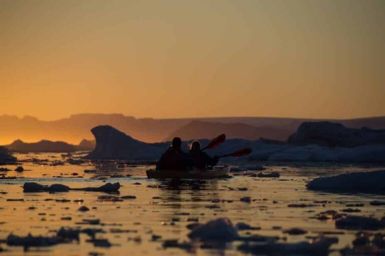 Abendliche Kajaktour zwischen Eisbergen | Ilulissat | Disko Bay - Image 7